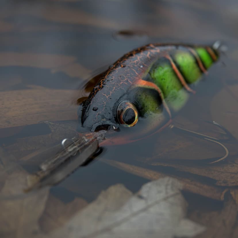 Lure