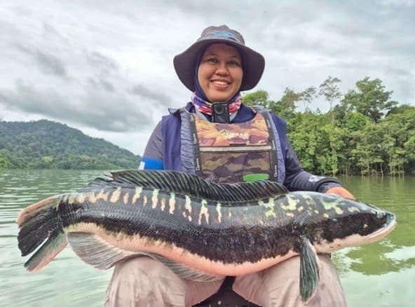 PUTERI